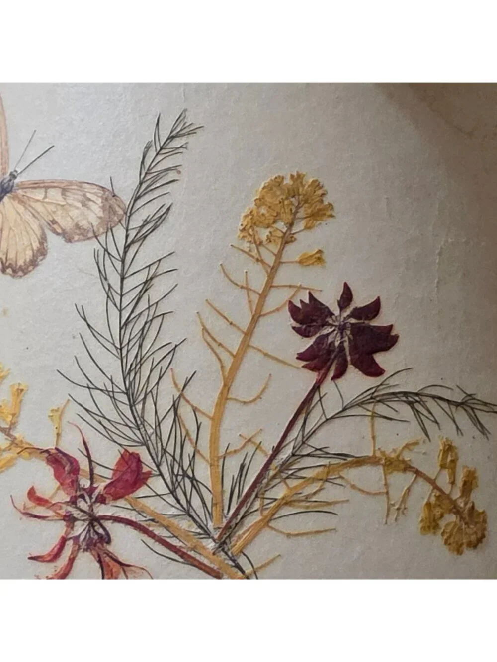 Vtg Van Briggle Style Botanical Lamp Shade Real Pressed Flowers w Butterfly 10